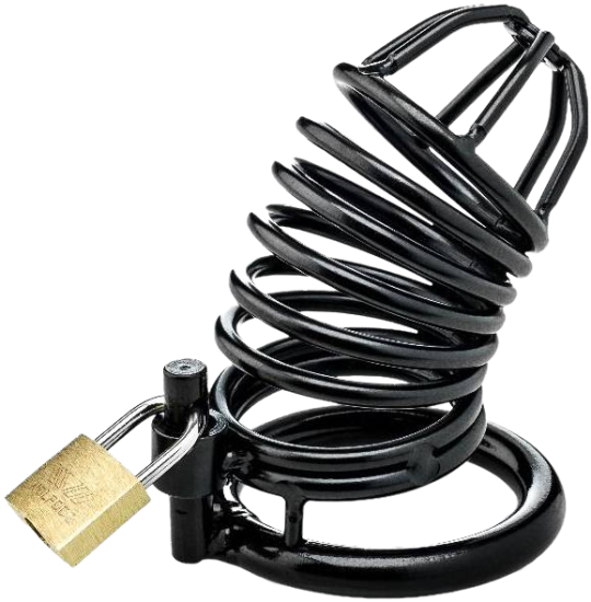 ZENN Black Cock Cage With 3 Cockrings