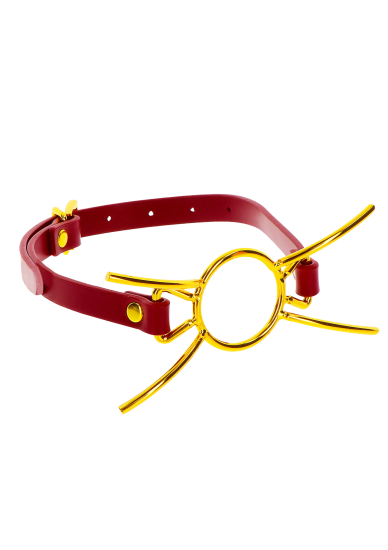 Taboom Bondage in Luxury Open Mouth Spider Gag